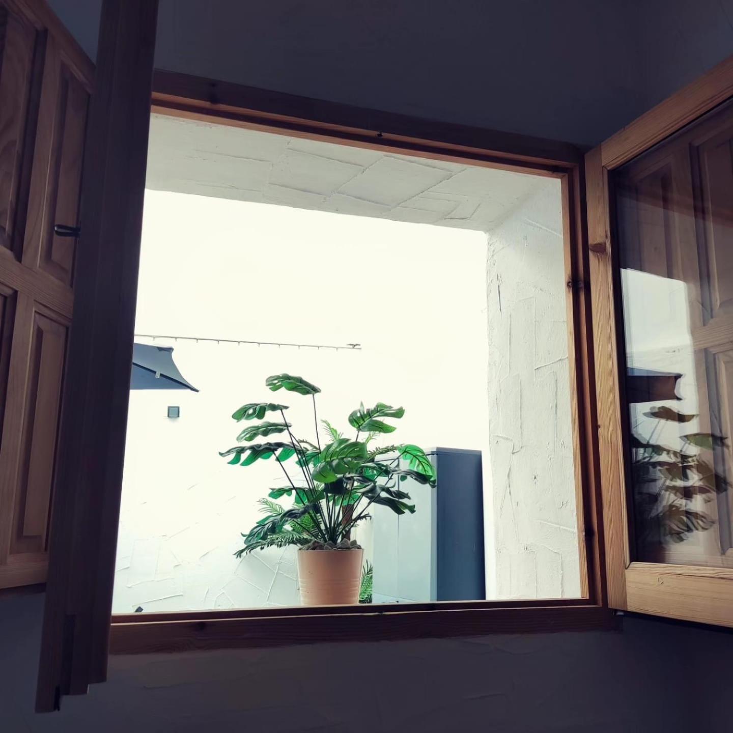 Apartamento La Lola - Patio Privado Херес-де-ла-Фронтера Экстерьер фото